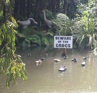 Gare aux Crocs