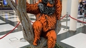 Orang-outan en LEGO