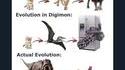 Évolution c'est raide