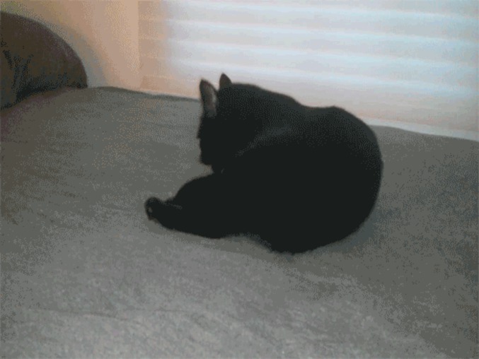 Position de combat