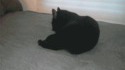 Position de combat