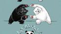 L'origine du panda