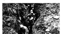 Verdun, 1916...