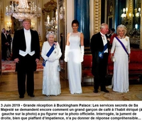 Un intrus qui trump son monde