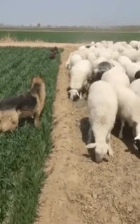 Une demande de retrait