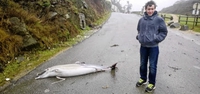 Tempête et conséquence
