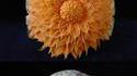 Sculpture sur coing