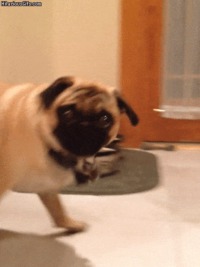 Hey !
