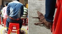 Des pompes en croco
