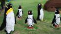 Pingouins Lego