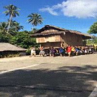 Les Déménageurs de l'Extrême version écolo