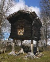 Cabane bien tapie au fond des Bois…