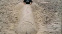 Gros sexe à la plage