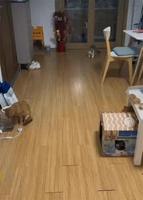 Allez viens quoi, grosse daube !