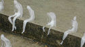 Sculpture sur glace