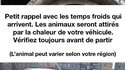 Sauvons nos animaux l'hiver
