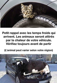Sauvons nos animaux l'hiver