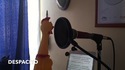 Despacito (chicken mix)