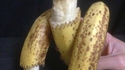 Dis-moi ce que tu manges, je te dirai qui tu es
