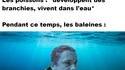 Trouver son oxygène