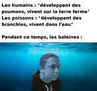 Trouver son oxygène