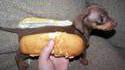 Hot Dog 4