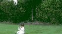 Un bébé en guise de ballon de football