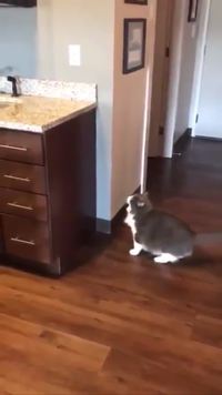 Garder la forme pendant le confinement