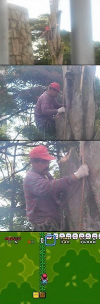Mario IRL