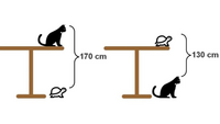 Comment mesurer la hauteur d'une table.