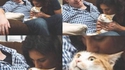 Chat d'amour 3