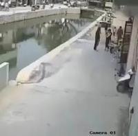 Nouveau modèle de scooter des mers