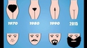 l’évolution du poil