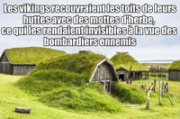 Vikings : on n'est pas à un anachronisme près s'pas ?