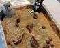 Idée de gâteau 