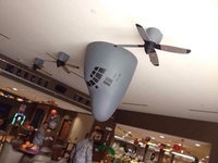 Boire ou piloter