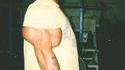 Biceps et triceps énormes
