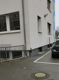 Ton écureuil apprivoisé rentre à la maison