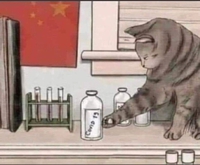 Tout a commencé dans un laboratoire de Wuhan 