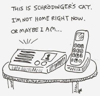 Le chat de Schrödinger