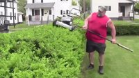 Quand tu n'as pas de taille-haie...
