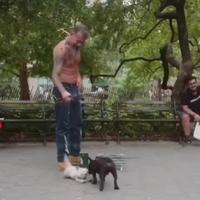 Moment de vérité pour un marionnettiste 