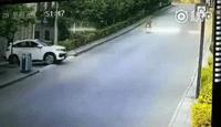 Quand le domestique chargé de la conduite s'est barré ...