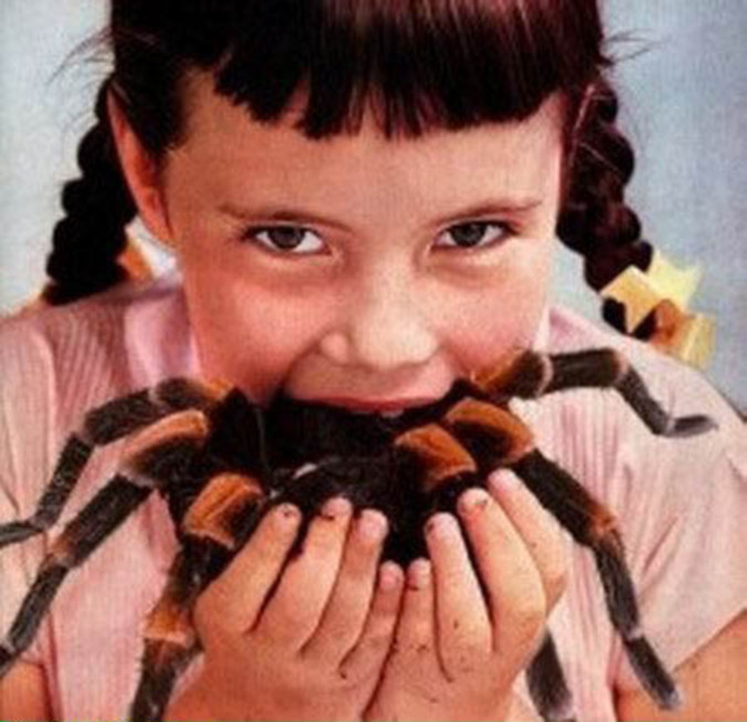 Une petite fille qui mange une grosse araignée...