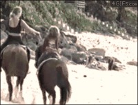 Un chien sonné par un cheval