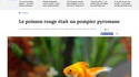 STOP le poisson rouge