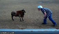 Dans la famille Bélier, je demande le fils...
