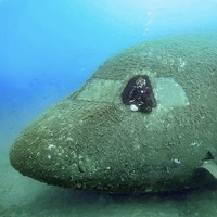 Non monsieur, on n'arrivera pas à lui décoller la pulpe du fond