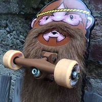 Le skateboard du MFG