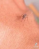 Ça arrive même au meilleur 